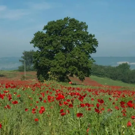 度假居 Agriturismo Verdealloggio Giove